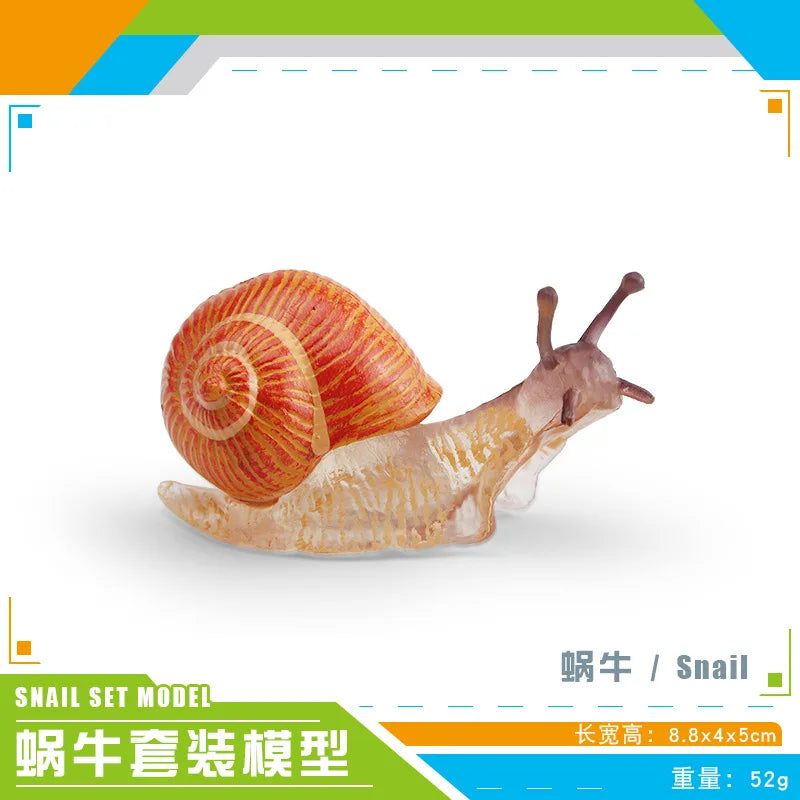 décoration miniature escargot coquille rayées réaliste couleur beige marron orange noir