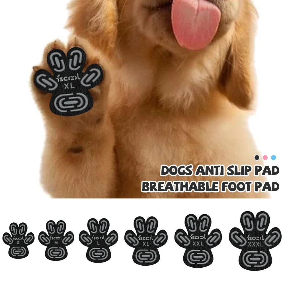 protège pattes chiens adhésifs noirs motifs modernes taille xl 2xl