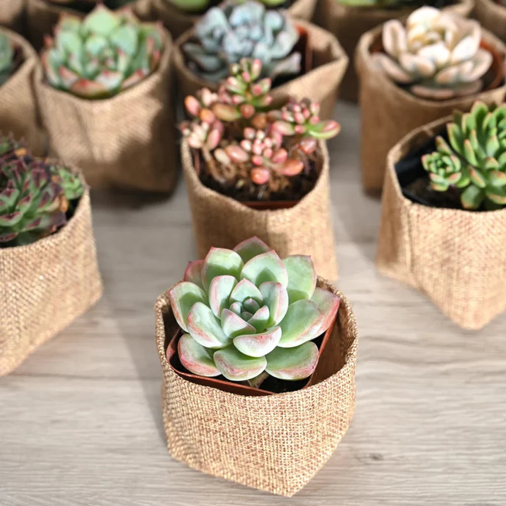 sacs rangement cache pot toile jute respectueux environnement taille 3x3 pouces rustique pack marron