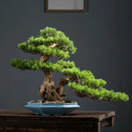 Bonsaï céramique artisanal naturel feuilles vertes bleues terre roches