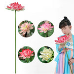 fleur artificielle lotus tige longue décoration intérieure vert rose blanc naturel détaillé Pods Feuilles
