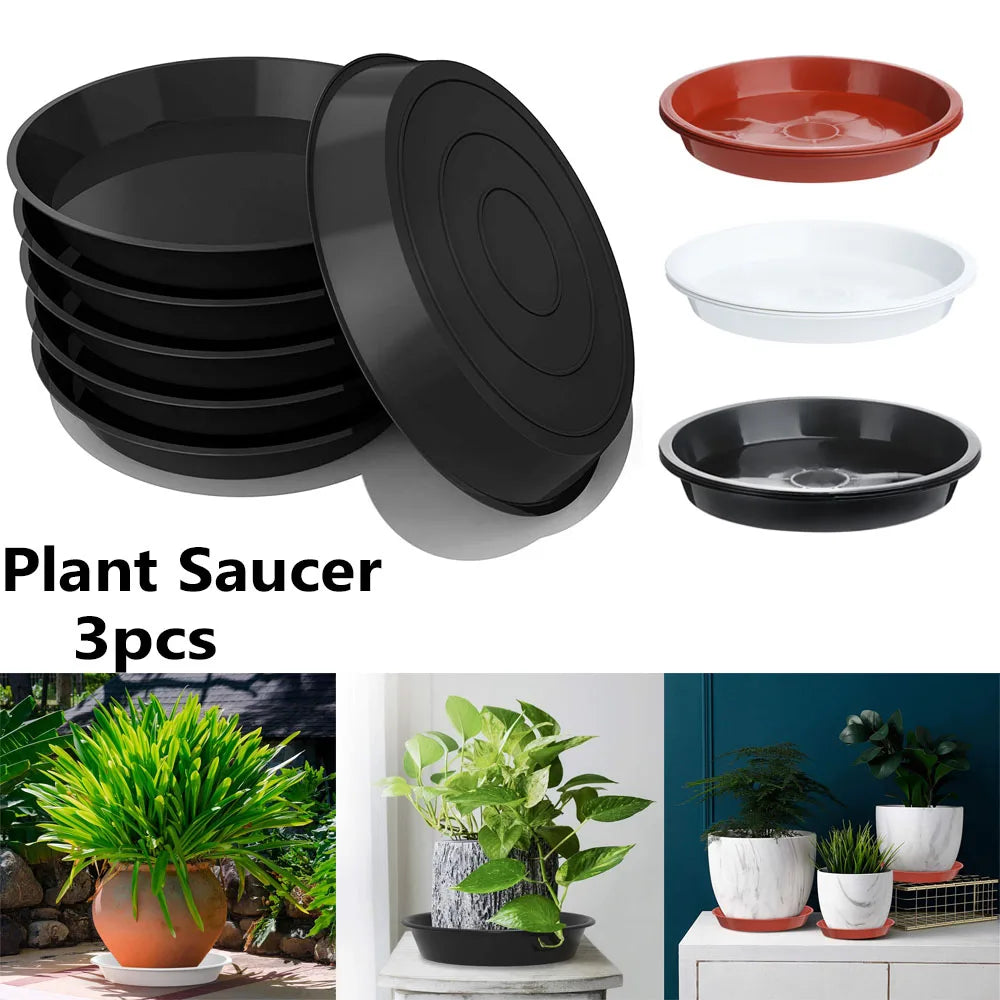 assiettes plantes noires rouges blanches modernes 10 cm