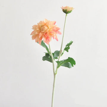 bouquet dahlias rose clair blanc minimaliste décoration intérieure hiver anniversaire noël mariage