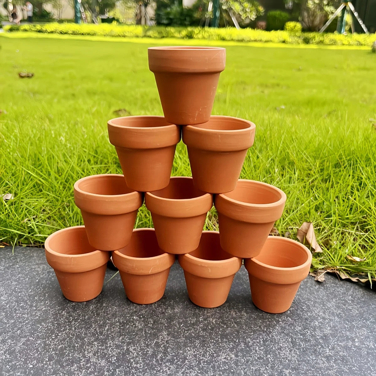 pots terre cuite drainages succulentes fleurs vertes jardin rustique bacs pépinière aspect poreux naturel