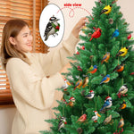Compte à rebours de Noël avec surprises oiseaux