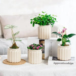 Cache pots transparent gris moderne rayures verticales plante intérieure fleur pot auto arrosage