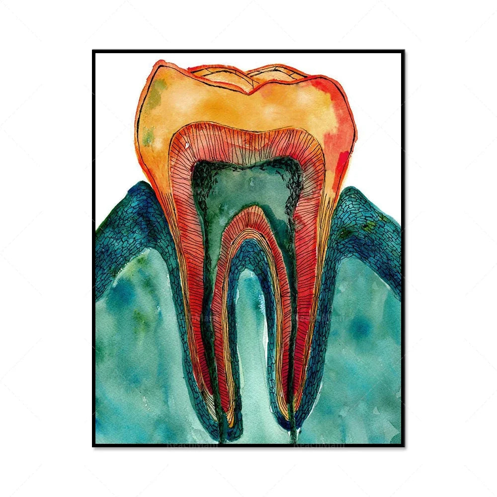 Représentation artistique détaillée de la structure interne d'une dent, mettant en valeur les nuances de couleurs et les motifs complexes.