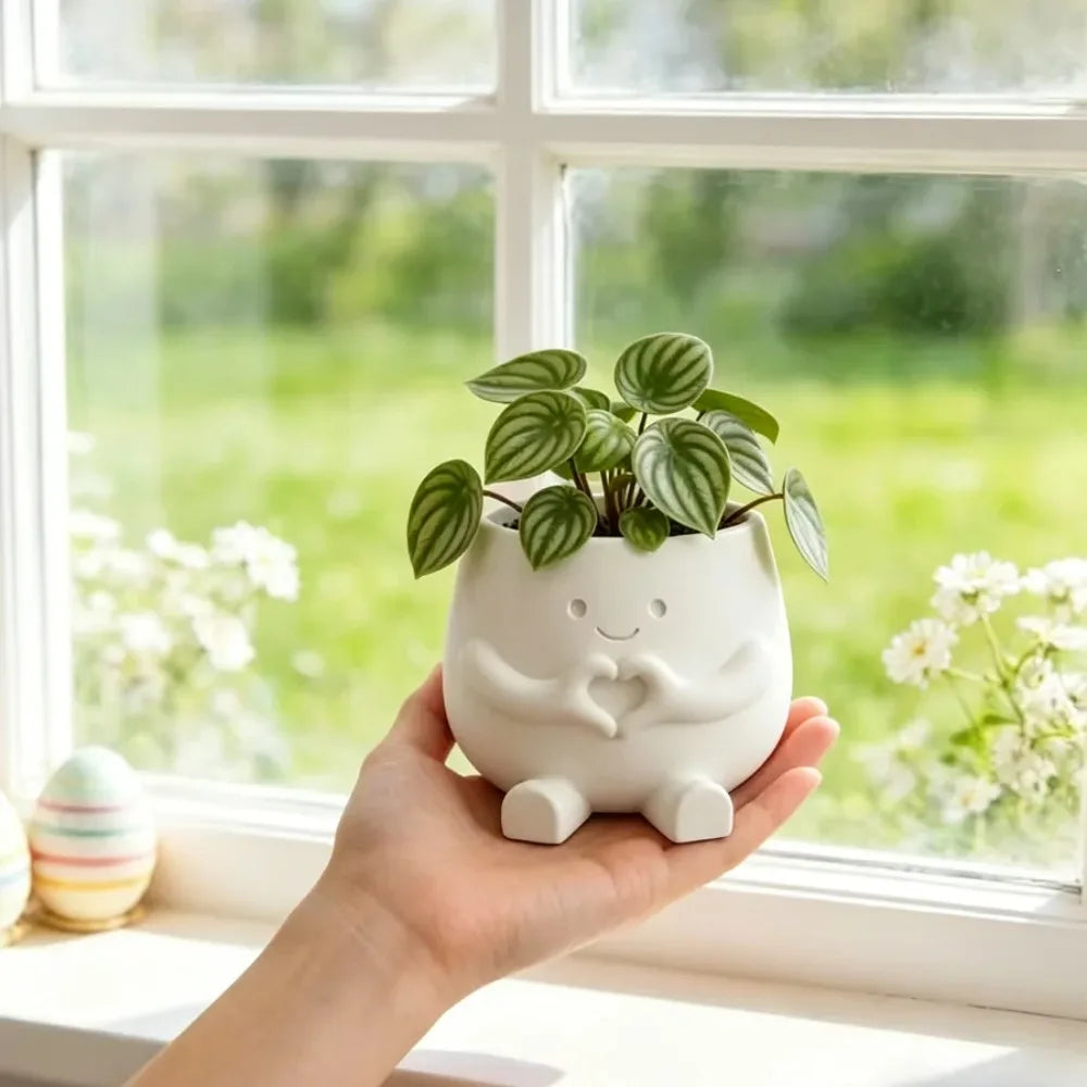 pot fleurs blanc forme mains cœur plante verte motif rayé décoration moderne intérieur extérieur