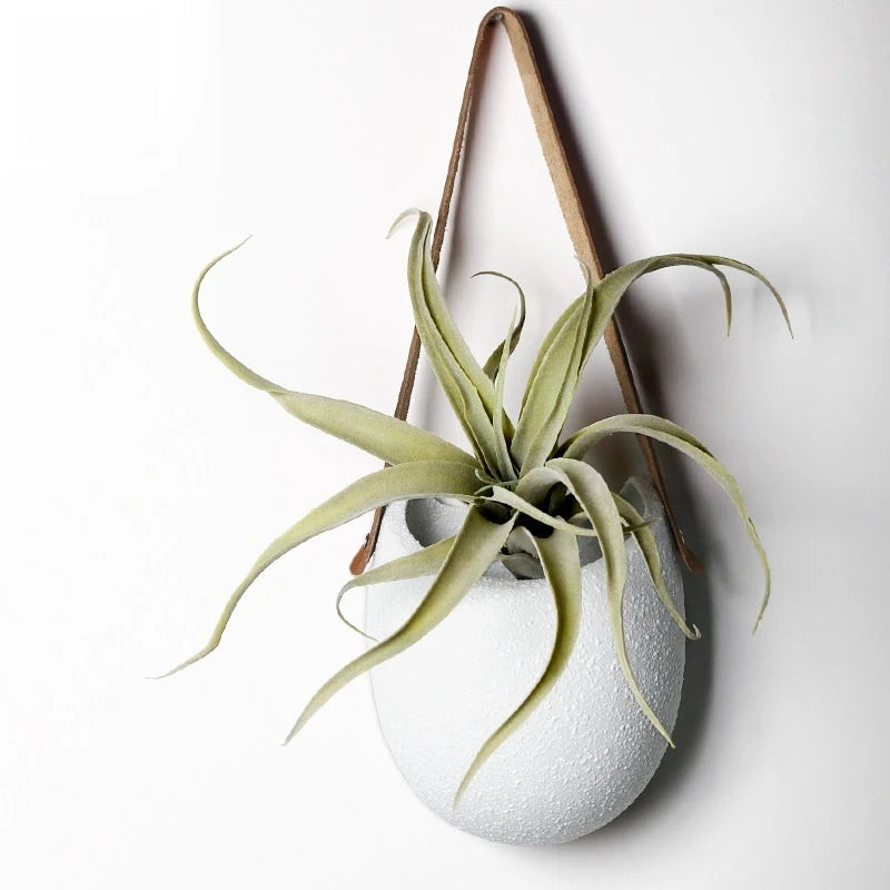 cache pot suspendu céramique blanc texture granulée minimaliste tringle cuirintérieur décoration plante fleurmodernestyle rusticitéélégant