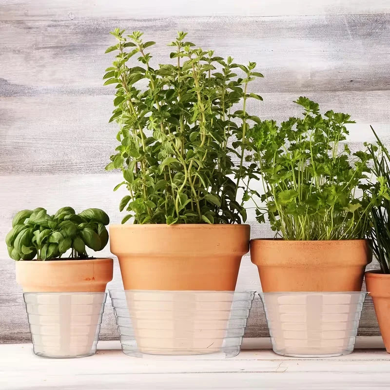 plateaux cache pots plastique transparent moderne rayures adhésif 10 inches