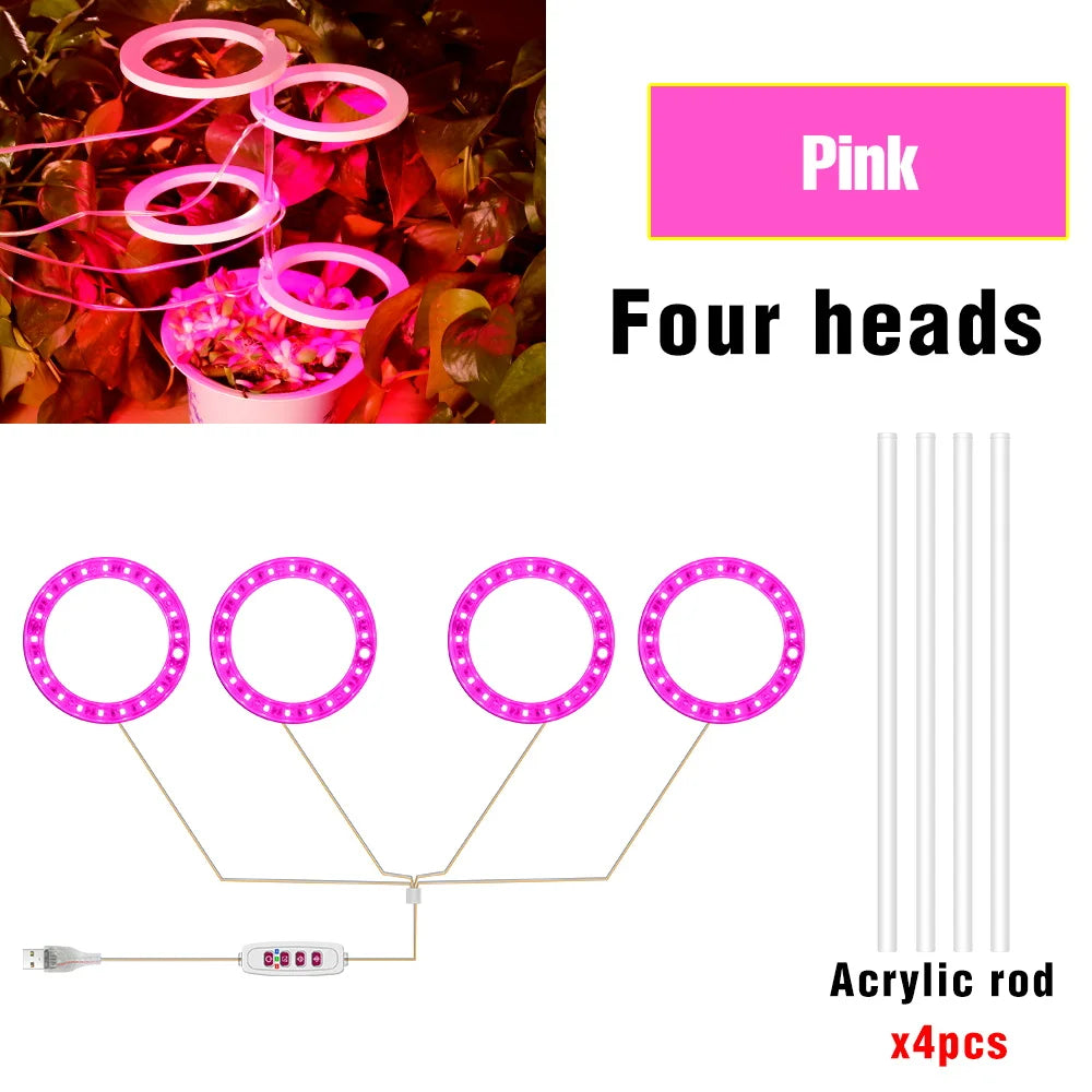 lumière croissance led usb 5v pink red blue sunlight controle remote moderne hydroponique
