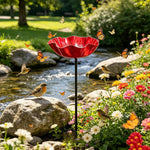 bassin oiseaux rouge forme fleur moderne extérieur tringle jardin pollinisateurs eau