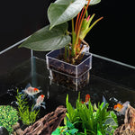 Accessoire aquarium pour suspendre des plantes
