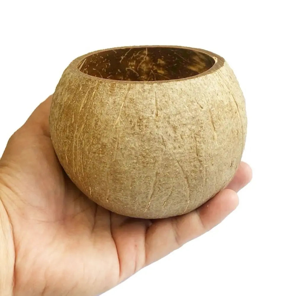bougeoirs coquille noix coco marron clair naturels rustiques intérieur décoration maison bougie blanche