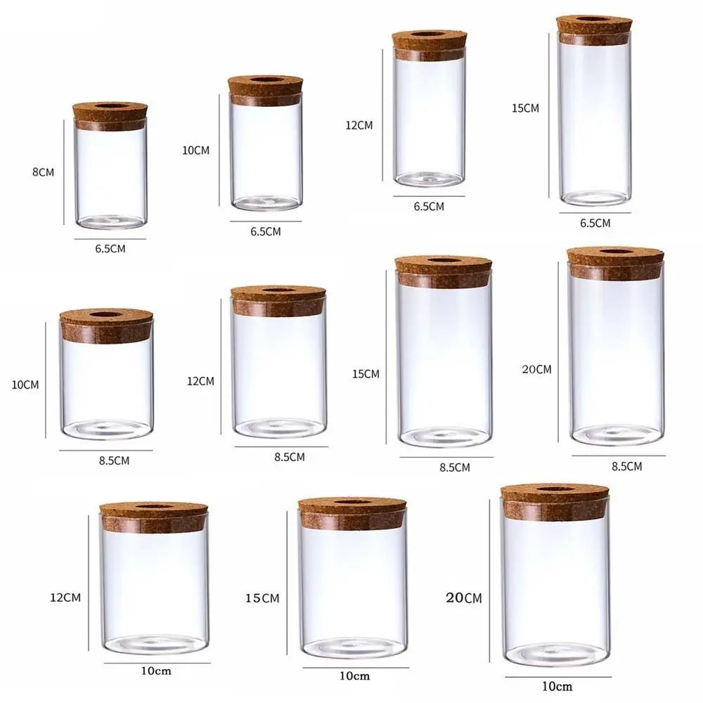 Pot plante hydroponique transparent moderne minimaliste 8cm 10cm 12cm 15cm 20cm