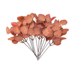 feuilles eucalyptus artificielles vertes blanches bouquet mariage décoration intérieur naturel rustique