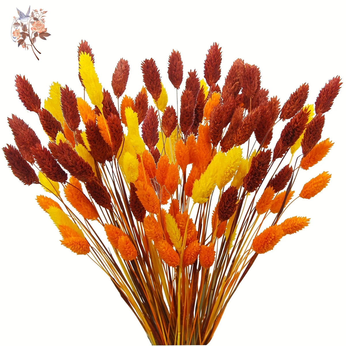 fleurs séchées naturelles bouquet orange jaune décoration maison anniversaire mariage festive bohème