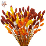 fleurs séchées naturelles bouquet orange jaune décoration maison anniversaire mariage festive bohème