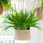 plantes artificielles herbe feuilles vertes modernes décoration intérieure extérieur minimaliste festive couleur rouge orange