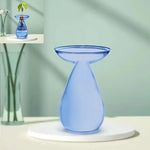vase transparent moderne plante graine avocat culture hydroponique décoration maison minimaliste