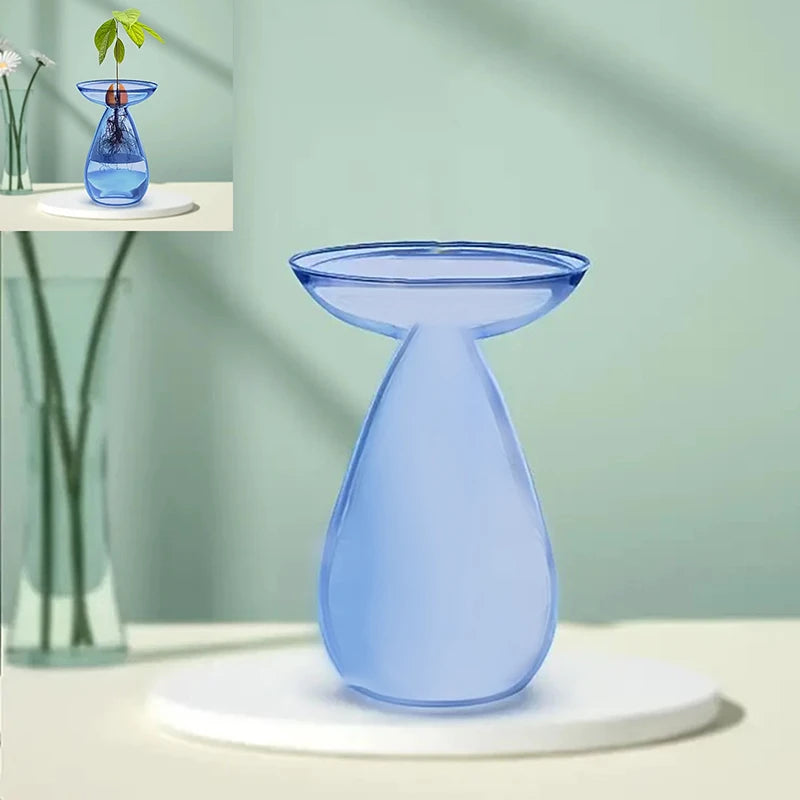 vase transparent moderne plante graine avocat culture hydroponique décoration maison minimaliste