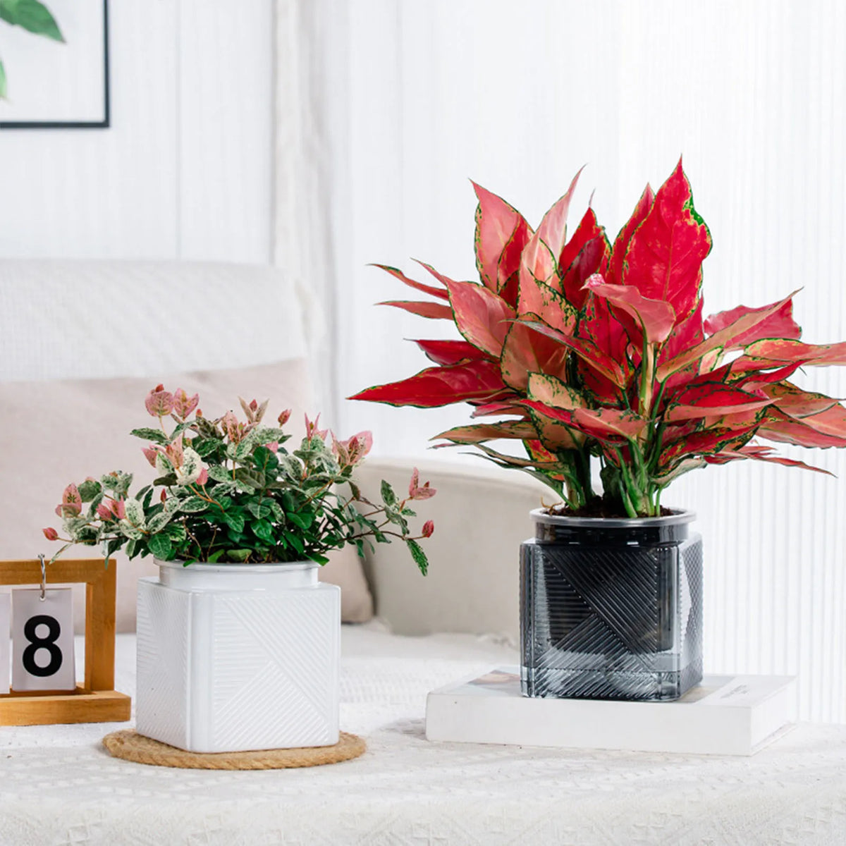 cache pot moderne plastique noir blanc rayures diagonales texture mat plante verte intérieur decoration