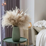 bouquet fleurs séchées pampas naturel rustique blanc beige marron décoration maison mariage anniversaire fête