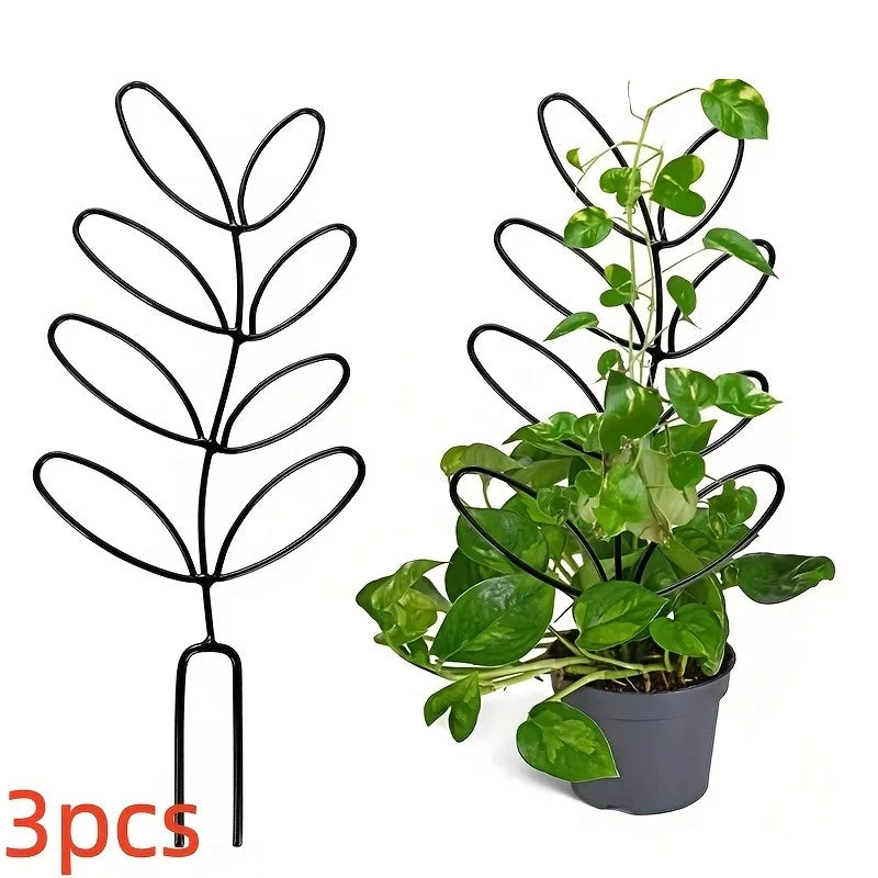 supports plantes grimpantes treillis decoratifs hexagonaux feuilles minimaliste noir exterieur interieur fixations tringles