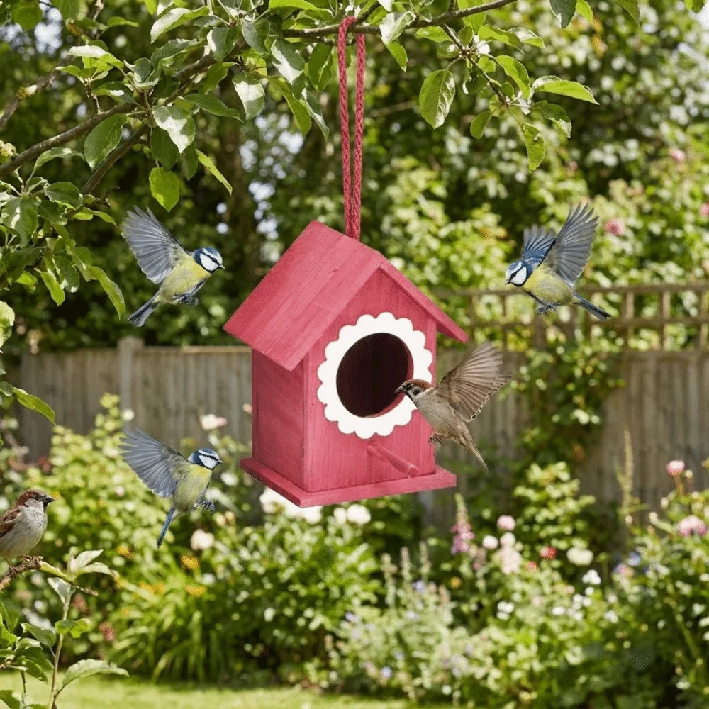 nichoir oiseaux extérieur bois résistant intempéries cordelette suspension porte floral relief bleu clair blanc