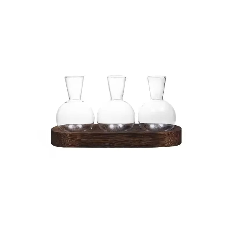 vases transparents modernes plantes racines visibles ensemble decoration intérieure minimaliste