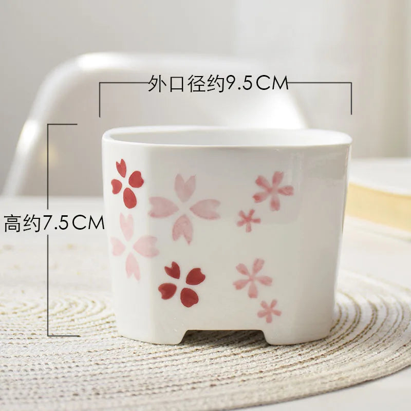 pots céramique porcelaine moderne rose blanc fleurs succulentes décoration plantes vertes ornement maison