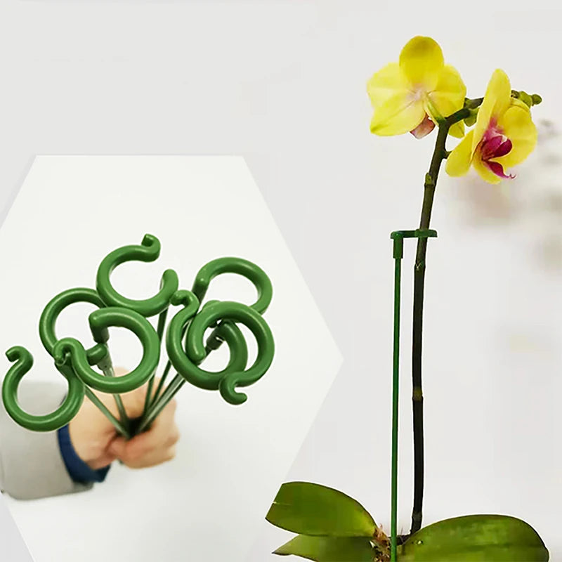 tiges soutien plantes vertes clips anti lodging moderne pot fleurs réutilisables 17cm 27cm 37cm