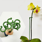 tiges soutien plantes vertes clips anti lodging moderne pot fleurs réutilisables 17cm 27cm 37cm