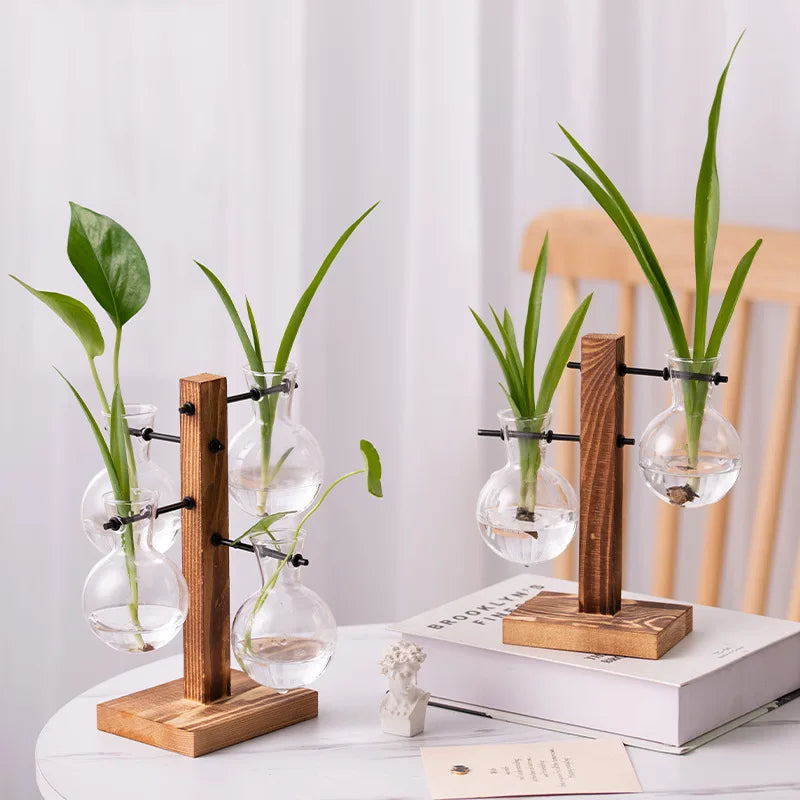 support plantes verre moderne transparent bois naturel clips métalliques vase décoratif minimaliste