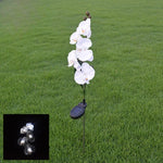 fleurs artificielles orchidées blanc rose bleu moderne décoratifextérieur tringle métallique socle noir