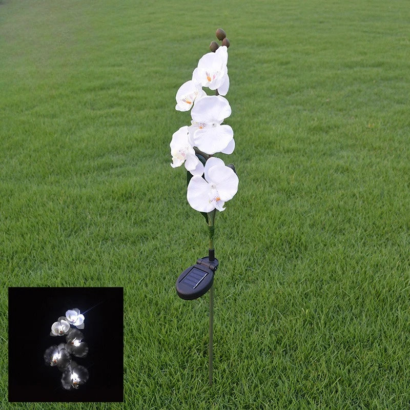fleurs artificielles orchidées blanc rose bleu moderne décoratifextérieur tringle métallique socle noir