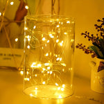 guirlande lumineuse led blanc multicolore fil cuivre controle remote modes decoration intérieure extérieure festive