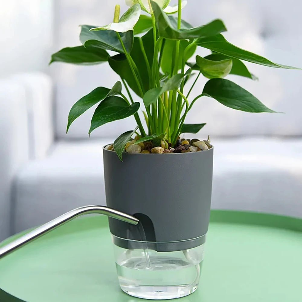 Pot plante auto arrosant gris moderne base transparente drainage fenêtre niveau eau inlet
