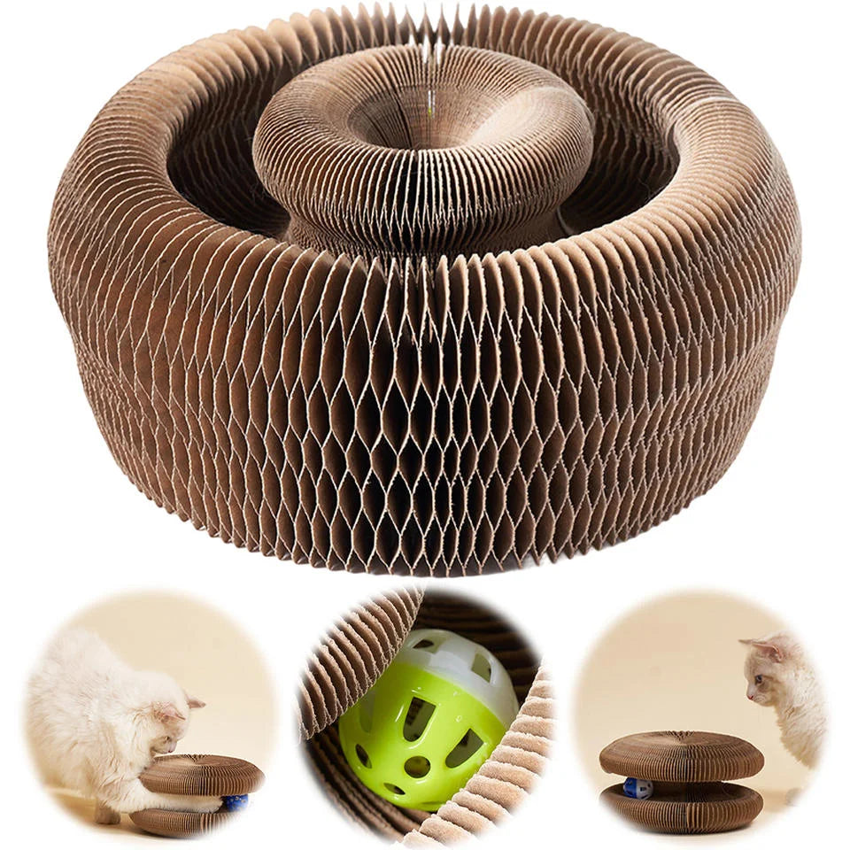 jouet chat carton ondulé balle grelots balle verte balle bleue tunnel rond multiple façons