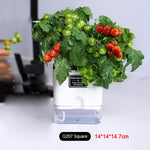 pots plantes auto arrosants blancs moderne grille drainage transparent minimaliste