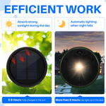 Comparaison avant-après installation du dessus solaire