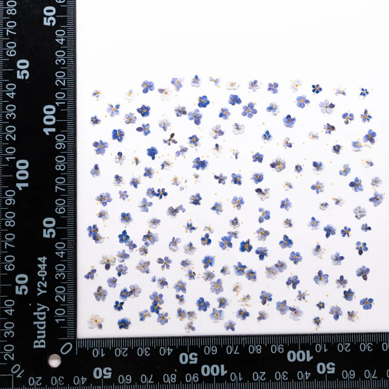 fleurs séchées naturelles bleu vert orange rose violet jaunes fleurs simples décoration diy bijoux