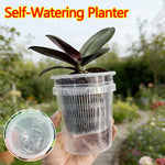 Pot plante moderne auto arrosant transparent controle racines drainage ornemental fleuri