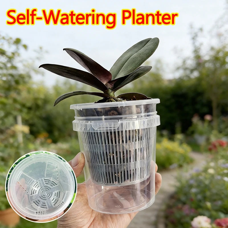 Pot plante moderne auto arrosant transparent controle racines drainage ornemental fleuri