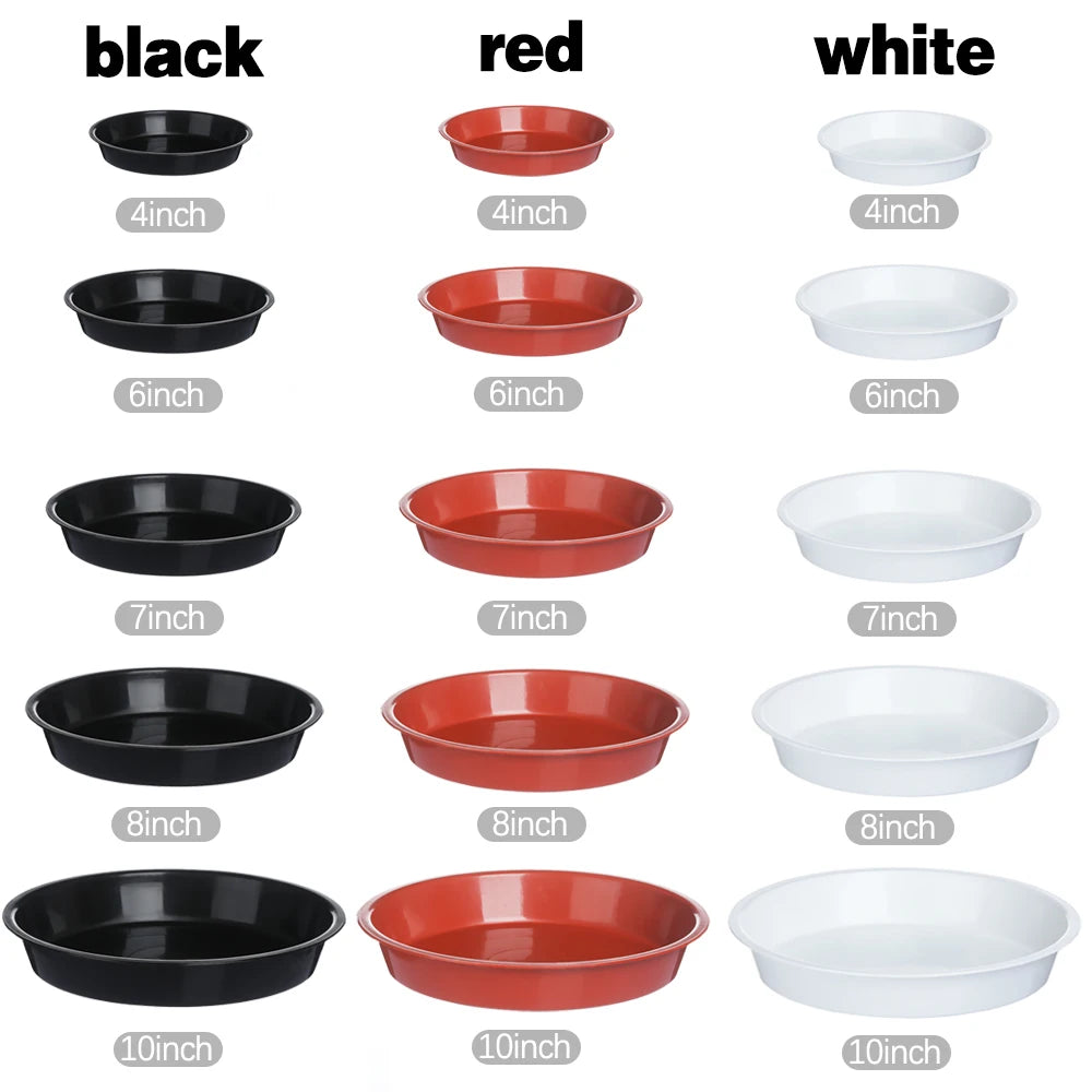 assiettes plantes noires rouges blanches modernes 10 cm