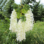 guirlande florale artificielle 12 pièces couleurs multiples décoration intérieure mariage romantique cascade fleurs vertes