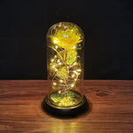 veilleuse led rose artificielle cloche verre éclairage couleur variée base noire