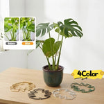 clips plante or noir vert moderne feuille monsteraintérieur extérieurgardening accessories