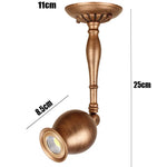 Spot LED bronze texture métallique classique opacité vis fixation ampoule incluse