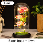 roses stabilisées bouquet guirlande lumineuse cloche verre décoration intérieure romantique anniversaire valentin engagement